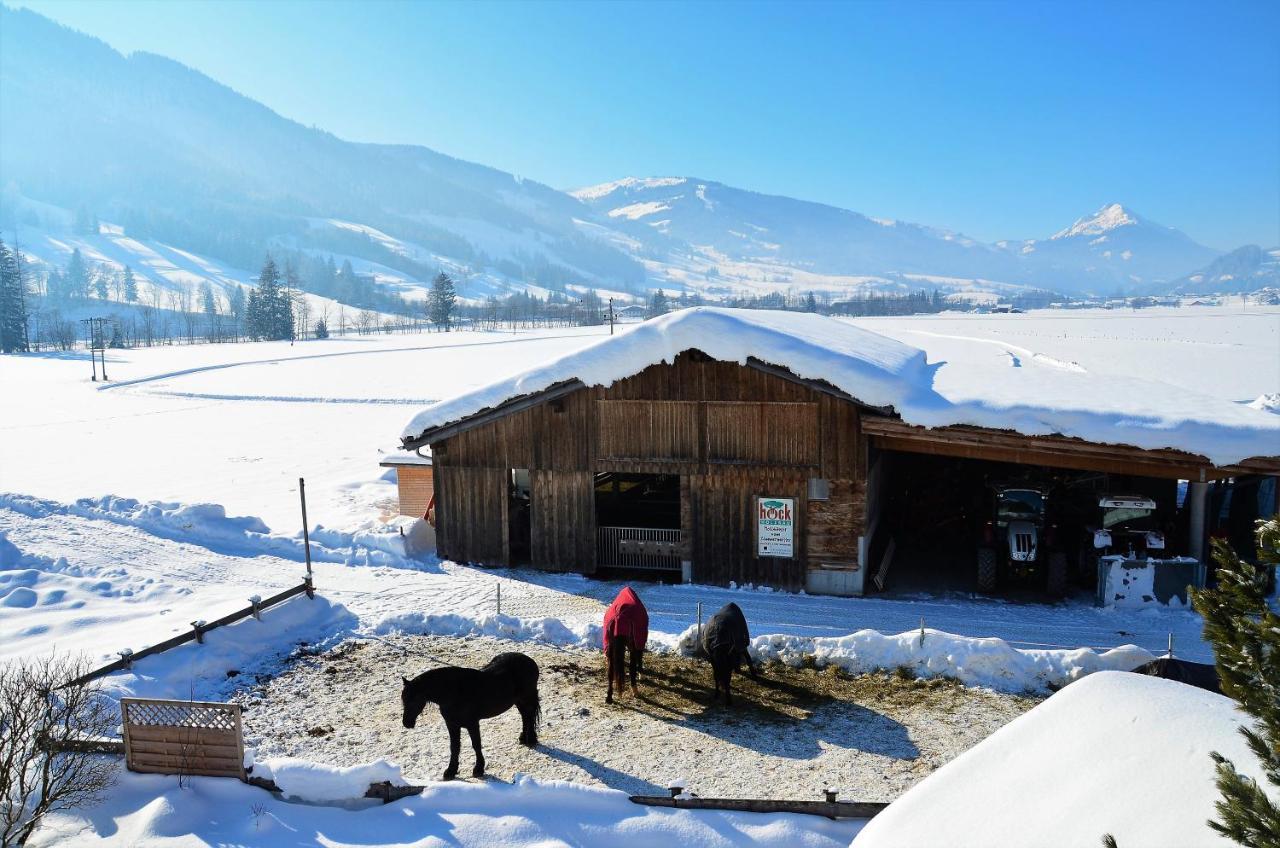 Willa Kleintoedlinggut Leogang Zewnętrze zdjęcie